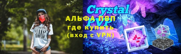 крисы Аркадак